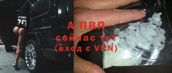 гидра Надым