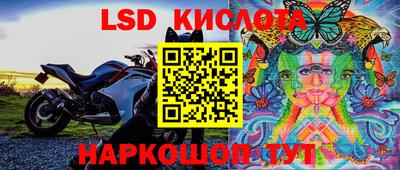 прущие крисы Гай