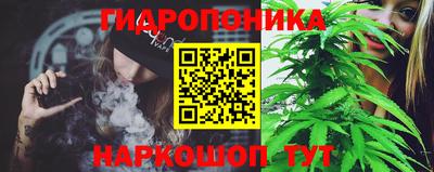прущие крисы Гай